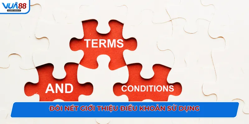 Đôi nét giới thiệu điều khoản sử dụng