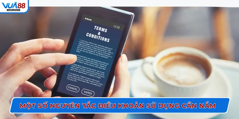 Một số nguyên tắc điều khoản sử dụng cần nắm
