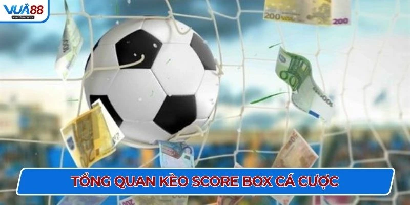 Tổng quan kèo score box cá cược